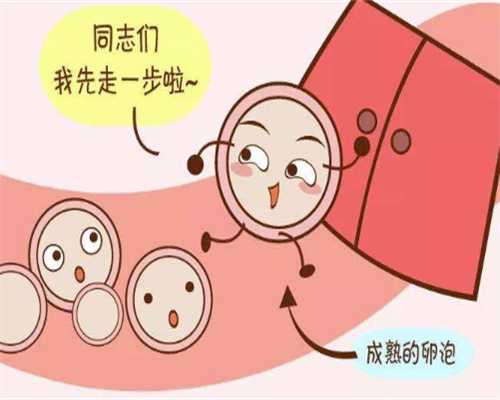 浙江找代孕去哪家医院,做试管婴儿期间饮食吃什么好？-上海私立医院供卵多少