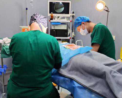 浙江代怀价格探讨:试管婴儿费用报销与生育保险解析