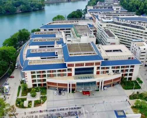 试管移植后感冒?了解正确的应对与用药指南