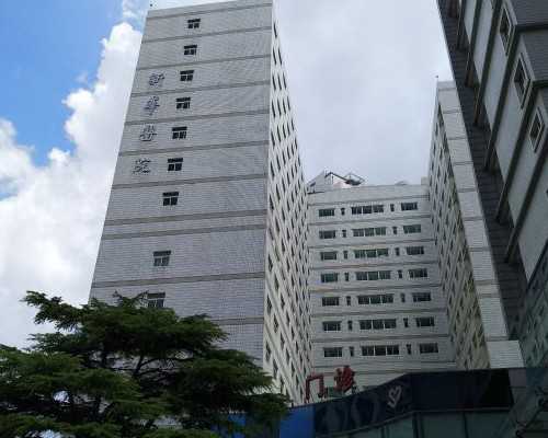 解锁薰衣草精油妙用：与乳液的完美结合探索