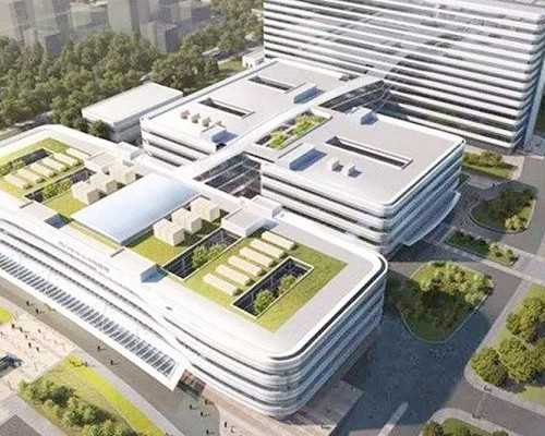 俄罗斯同性试管婴儿可行性探析与排卵后助孕指南