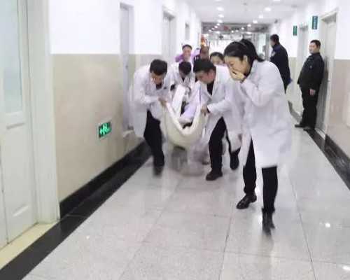 泰国试管助孕生育之旅：费用、医院及流程详解