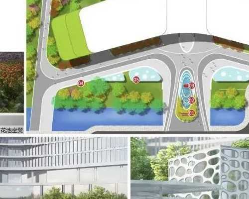 温州助孕指南：章鱼与鱿鱼的区别及营养价值