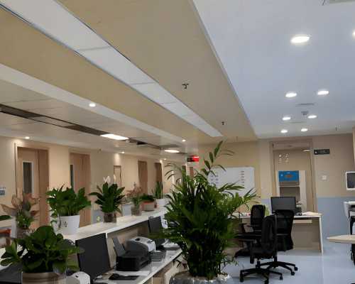 温州职工做试管期间的费用可以报销吗？,温州有专业供卵试管医院吗