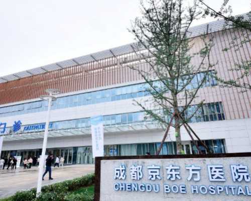 <strong>温州试管助孕指南：浙江主要医院排名、费用与成功率详解</strong>