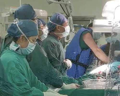 温州试管助孕优选:权威医院与流程解析