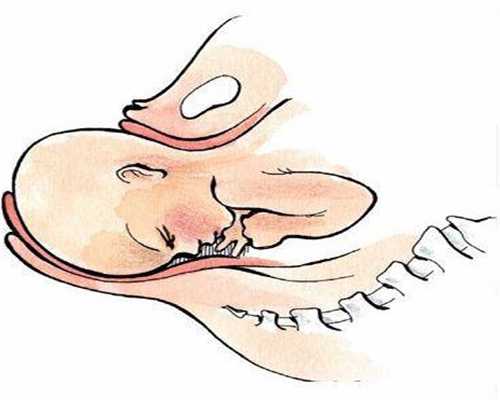 代生宝宝地址_代怀孕官网_孕4月发烧对胎儿影响