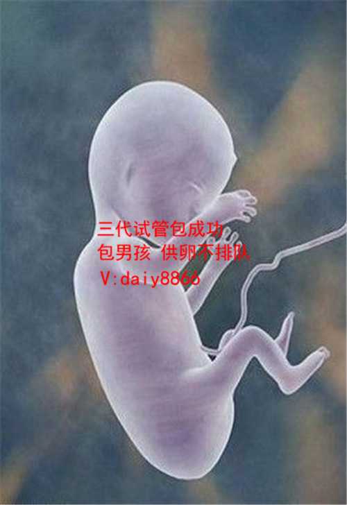 温州代孕包男孩_温州代孕男宝宝_排卵期怎么艾灸助孕