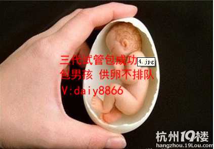 可以借卵子生孩子吗_温州代怀_冷冻胚胎去做试管婴儿要多少费用？