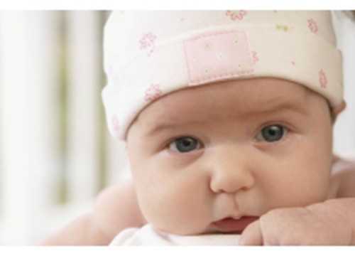 温州代孕中心_温州代孕地址_做试管婴儿时的饮食调理