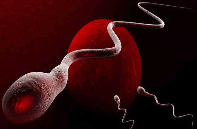 温州代孕网公司多吗 温州二院生殖医学中心 ‘孕20周做b超男孩子的图片’