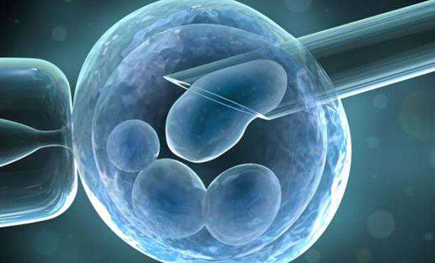 温州正规代生 2022温州医科大学附属第一医院试管婴儿成功率一览 ‘双胞胎孕囊